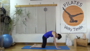 Pilates lomo de gato